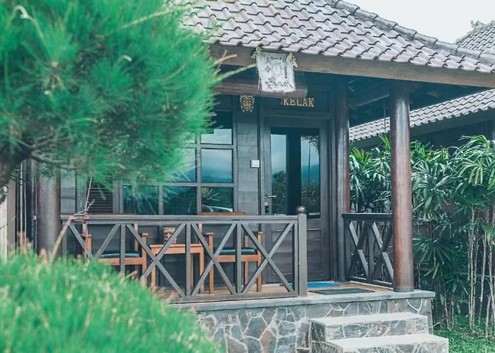 Kayu Manise Bedugul Selemadeg